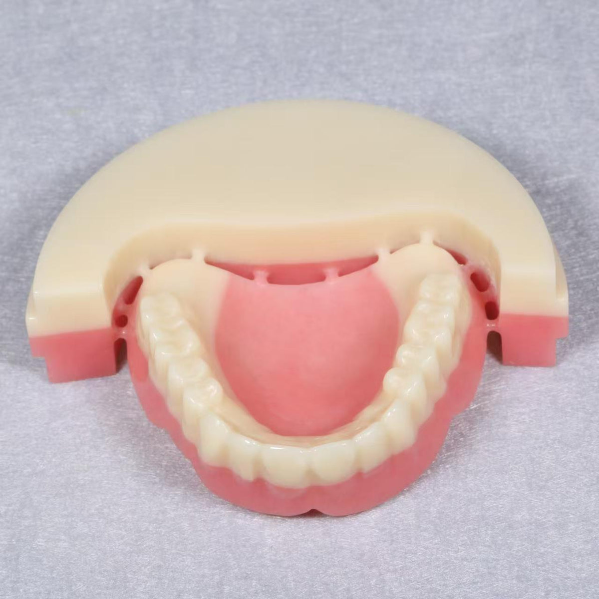Double-layer PMMA for Removable Dentures 98MM Cadcam Dental Material Pmma Disc